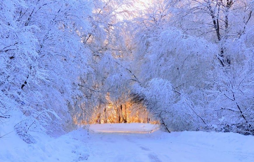 5 days Private winter tour from Tbilisi