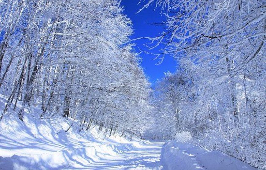 5 days Private winter tour from Tbilisi